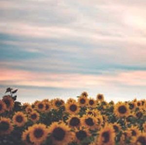 Meet your Posher, Mimi